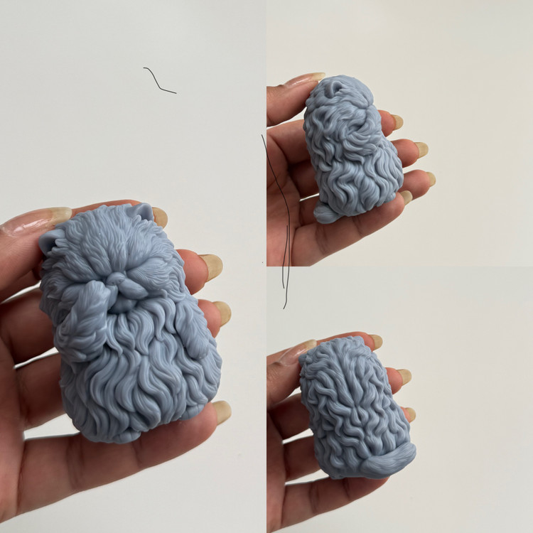 قالب سیلیکونی پیشی گوگولی